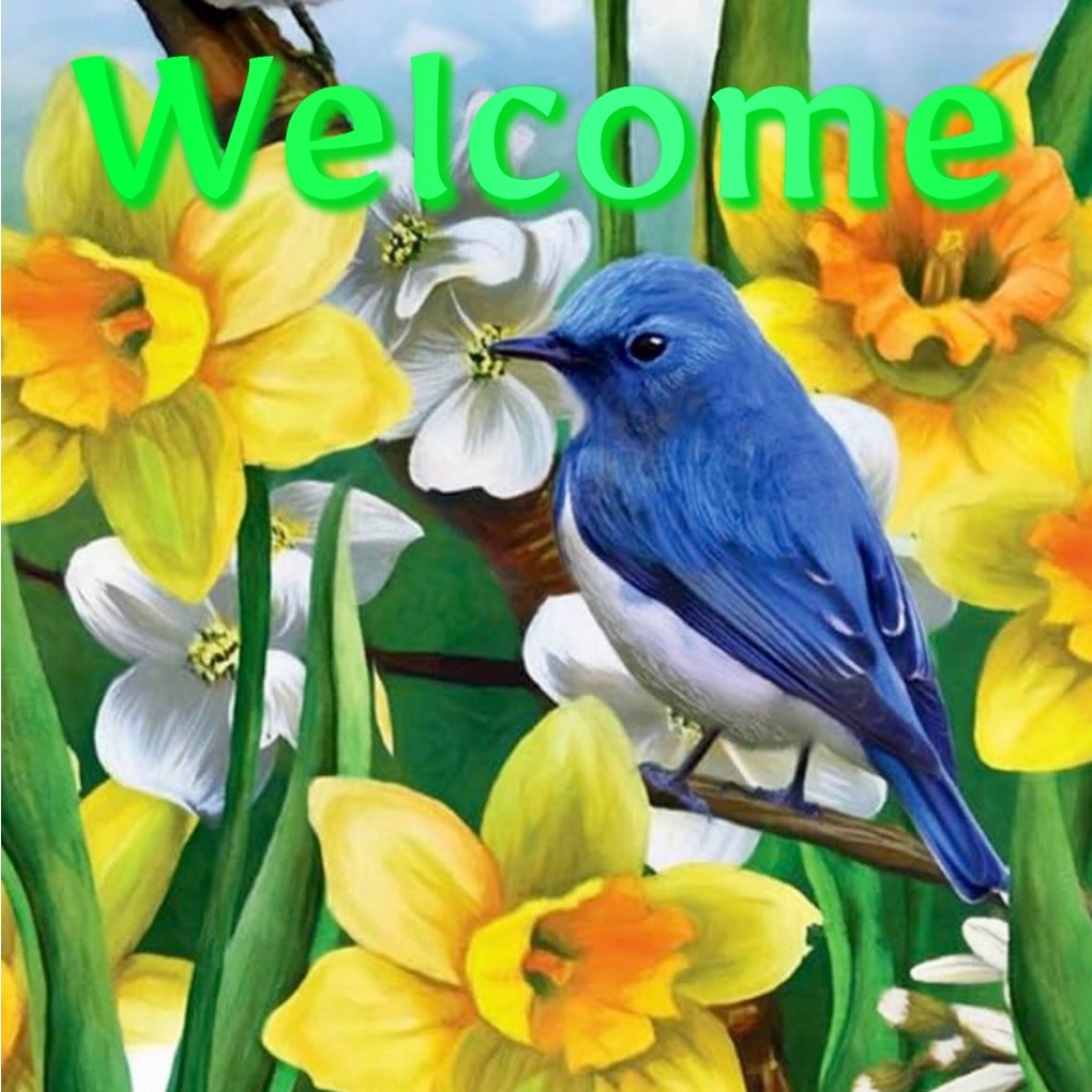 🐞 WELCOME  FRIENDS! 🐞